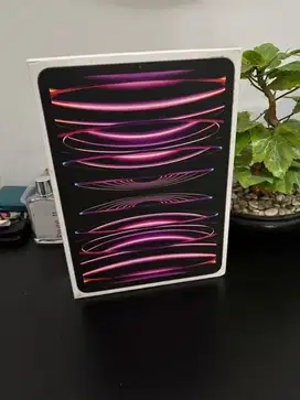 Ipad pro 11 M2 gen 4th