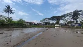 DIJUAL TANAH SAWAH LUAS 2.753 M2