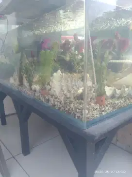 Aquarium lengkap