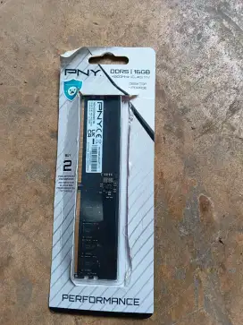 Ram ddr5 16 gb PNY