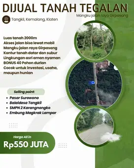 COCOK UNTUK INVESTASI PERKEBUNAN BELI TANAH BONUS 40 POHON DURIAN