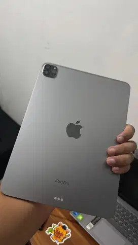 Ipad Pro M2 128gb Gray 10.9 inch