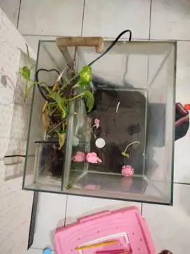 Aquarium filter belakang