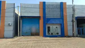 TERMURAH DISEWAKAN GUDANG SINAR BUDURAN PUSAT SIDOARJO BEBAS BANJIR