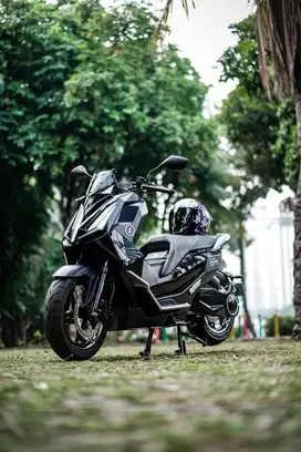 Alva Cervo 2023