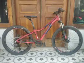 Sepeda Polygon RALIC 24 inc Orisinil
