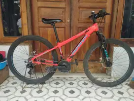 Sepeda Polygon MONARCH JR 26inc Orisinil