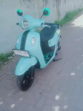 Fazzio ISS Thun 2024 mulus