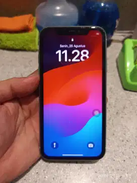 iPhone 11 64 GB inter wifi only ke blok