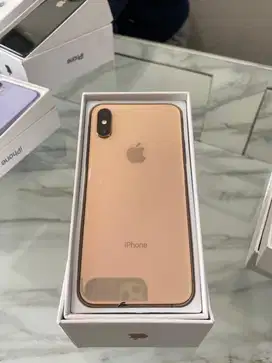 iPhone Xs 256Gb Beacukai