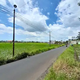 Sawah Poros Jalan Aspal Morotanjek 3 Menit Provinsi Malang Surabaya