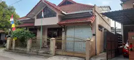 Rumah disewakan