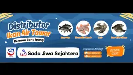 Ikan Mas Nila Lele