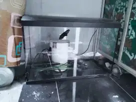 Aquarium second