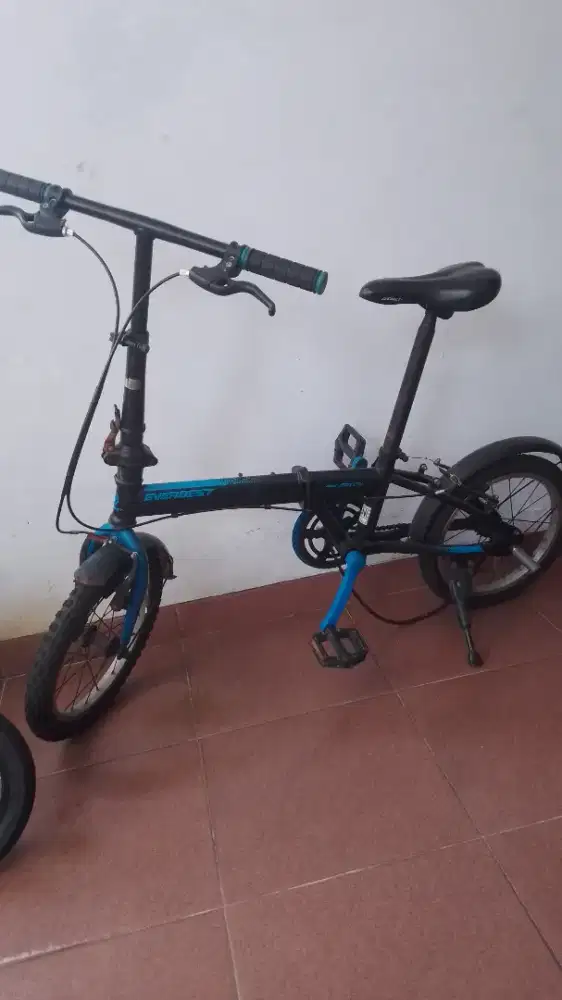 Sepeda anak SD dewasa