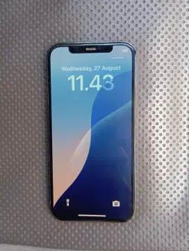 iPhone 12 Pro 128gb ex inter Mulus Sinyal All Operator