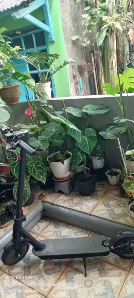 Skuter listrik exotic mulus batre awet