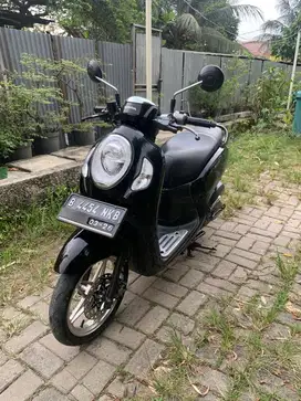 Scoopy 2021 sporty