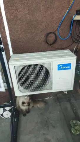 Service AC bongkar pasang AC tukang AC panggilan isi freon AC