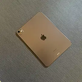 (iBox) iPad Pro M4 256GB iBox 11 inch Wifi Only Garansi ON & Case UAG
