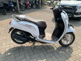 Scoopy 2020. Pajak hidup
