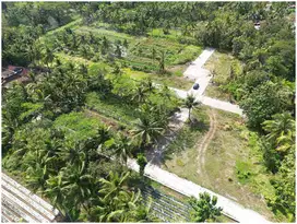 Tanah Murah di Sentolo Dekat Bandara YIA