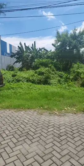 Tanah Murah Siap Bangun Lokasi Strategis di Gayungsari