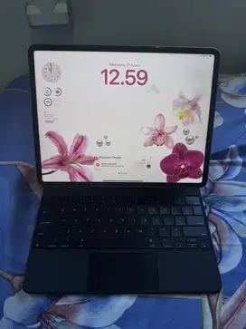 IPAD PRO M2 256GB Wifi only Space Grey 12,9 inch barang Resmi iBox