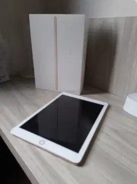 iPad 2017 WiFi+Cellular 128GB murah !