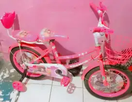 sepeda anak anak