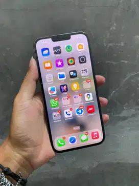 Iphone 13 pro max 255gb digimap