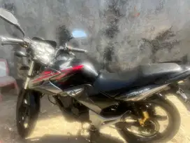 Jual tiger tahun 2012