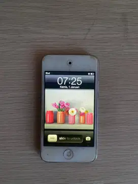 iPod Touch 4th Gen 32 GB