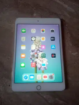 ipad mini 4 wifi + cell