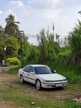 HONDA ACCORD MAESTRO