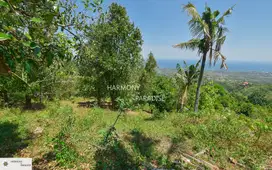 HP-NBL08 Tanah Lereng bukit 5000m2,SHM,di kayuputih-lovina