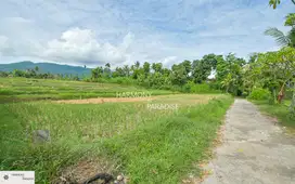 HP-NBL04 Tanah Sawah SHM, Dijual di Panji, Buleleng