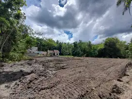 Cari Tanah di Jogja Sedayu Bantul, Akses Ringroad