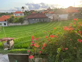 DIRECT OWNER VILA BUMBAK UMALAS DENGAN VIEW SAWAH