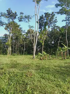 Di Jual Tanah Depan Jalan Lingkar Salatiga