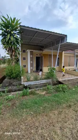 Rumah kontrakan