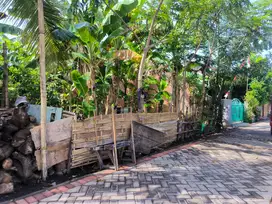 Tanah luas 150 M² SHM Banyuwangi kota