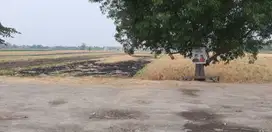 Lahan Plot Industri di Wringinanom Gresik