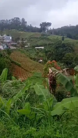 Jual Cepat Tanah 1100m² Cihargem Dago Atas Dekat Tebing Keraton
