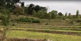 DIJUAL TANAH KEMIRI PACET MOJOKERTO RON.A2216