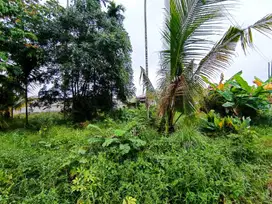 DI JUAL TANAH MURAH TENGAH KOTA DI JL LIMBAT DEKAT JLN SOEKARNO HATTA