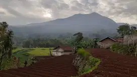 JUAL CEPAT TANAH STRAREGIS CIMAUNG BANDUNG SELATAN