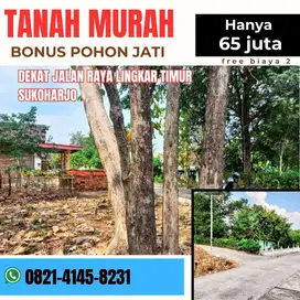 DIJUAL TANAH BONUS POHON JATI SIAP PANEN DI SUKOHARJO DEKAT MULUR