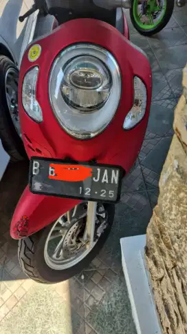 Honda scupy siap pakai