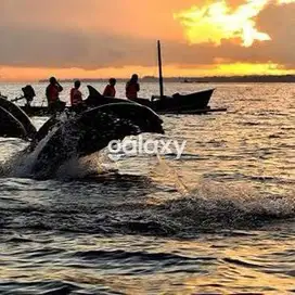 Dijual Tanah Dekat Pantai Lovina Bali paling MURAH